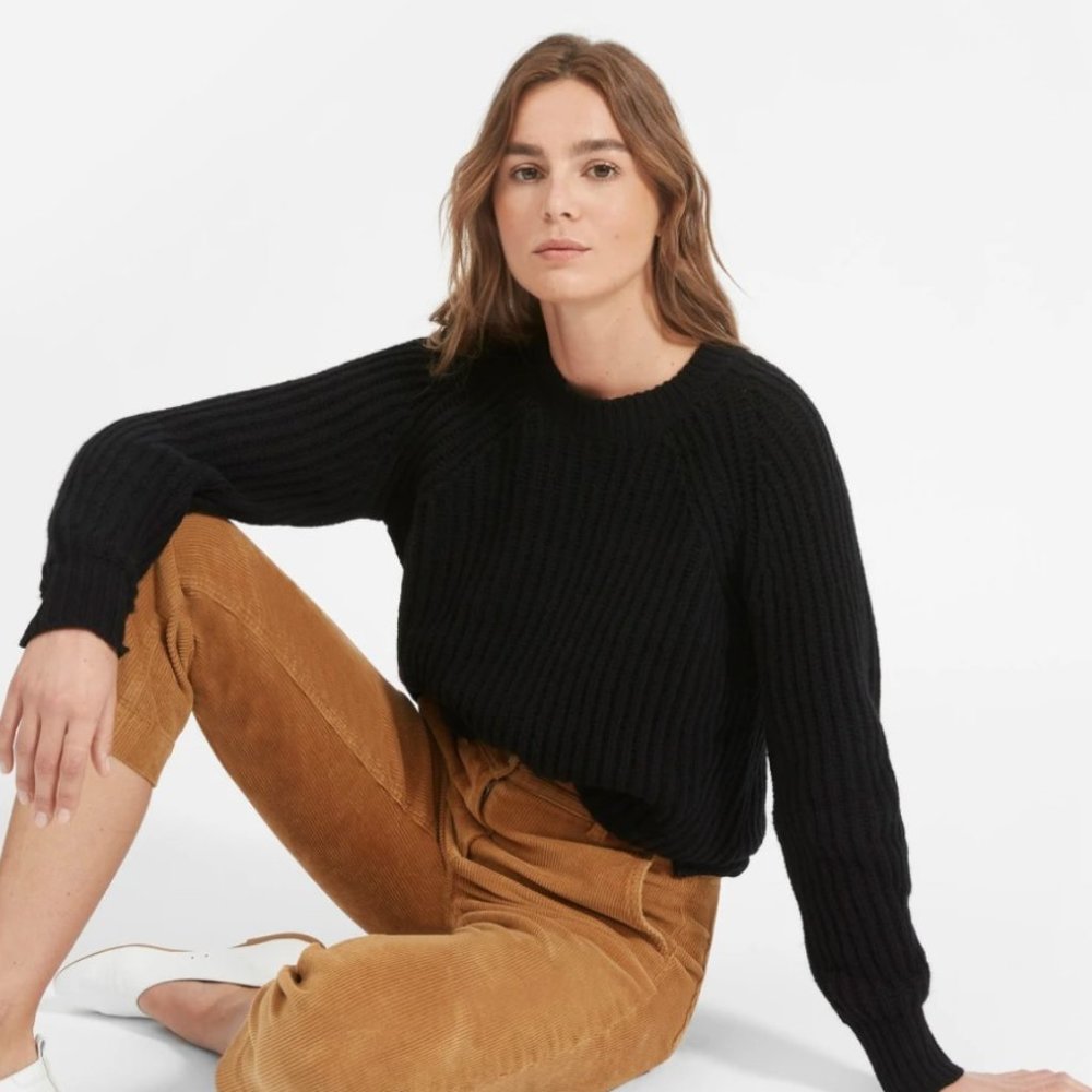 Everlane The Italian Soft Wool Rib Crew in Black